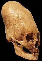 Longskull.jpg